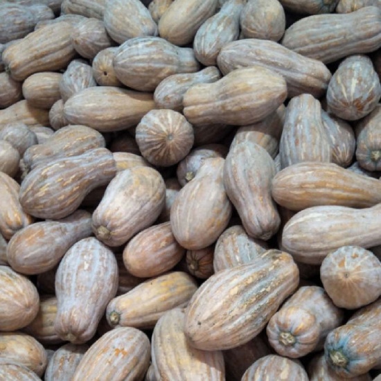Bí đỏ trái dài hữu cơ